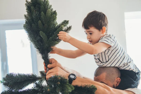 Padre Che Tiene Figlio Sulle Spalle Installare Cima Dell Albero — Foto Stock