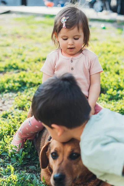 Ritratto Due Bambini Che Giocano Con Cane Natura Sull Erba — Foto Stock