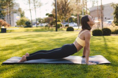 Beyaz tenli, formda bir kadın sırtını yukarı doğru uzatarak yaz parkında çimlerde pilates yapıyor. Kadın formda bir model. Esneme ve motivasyon. Açık hava egzersizi..