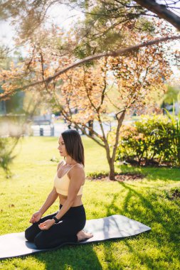 Yoga minderinde diz çöküp meditasyon işlemine başlamak için bekleyen bir kadın. Yaz doğası. Yeşil doğa. Sağlıklı aktif yaşam biçimi