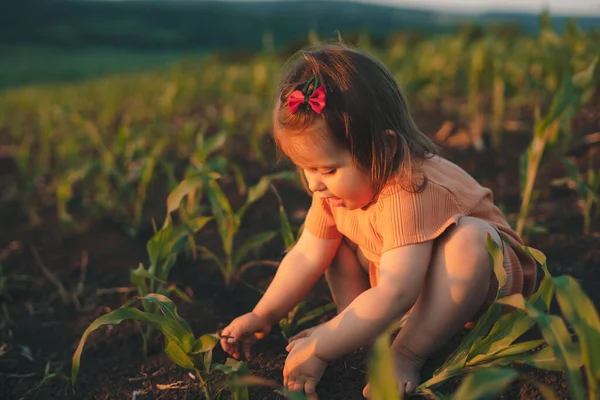 Garota Branca Andando Brincando Campo Milho Dia Verão Pôr Sol — Fotografia de Stock