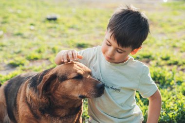 Beyaz çocuk parkta çimenlikte köpeğiyle oynuyor. Hayvanları okşuyor ve onlara sevgi gösteriyor. Doğada köpeği olan bir çocuk. Doğa, mutluluk