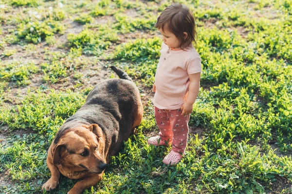 Joyeux Enfant Jouant Avec Chien Dans Jardin Été Animal Domestique — Photo