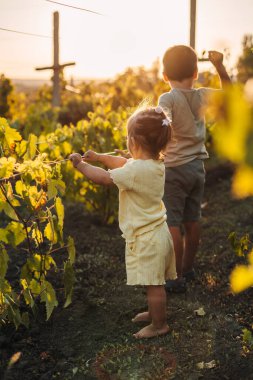 Gün batımında asma bahçesinde duran iki küçük çocuğun görüntüsü. Yaz tatili eğlencesi. Küçük bahçe.