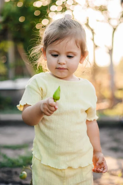 Retrato Uma Menina Adorável Segurando Uma Pimenta Recentemente Colhida Seu — Fotografia de Stock