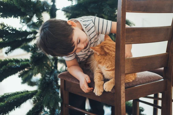 Boy petting the cat sitting on the chair while the family sets up the Christmas tree. Childhood pet