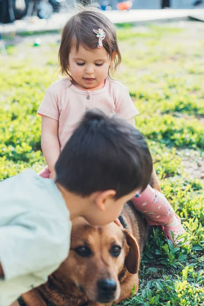 Милые Дети Ласкают Свою Собаку Отдыхая Летом Земле Саду Красивая — стоковое фото