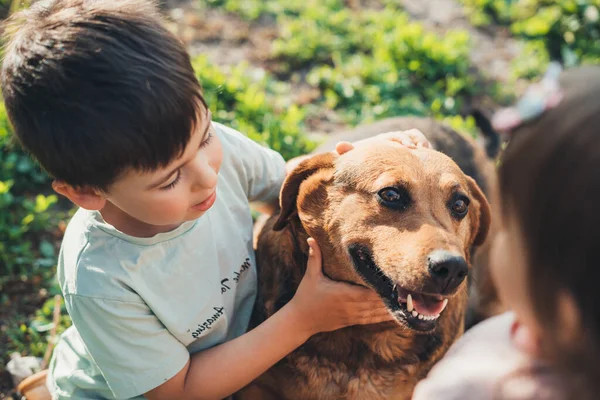 Deux Enfants Caucasiens Jouant Avec Leur Chien Loyal Griffant Tête — Photo