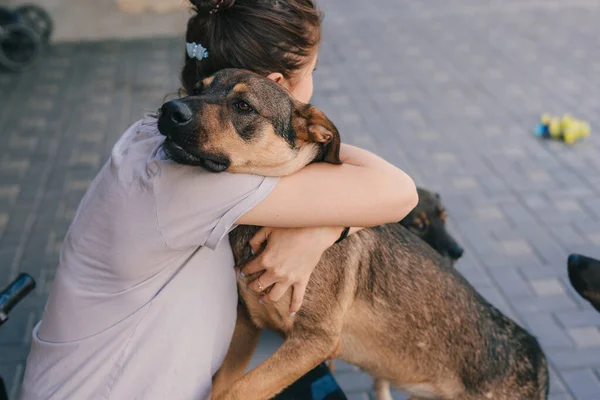 Junge Attraktive Frau Spielt Mit Ihrem Hund Sommer Draußen Und — Stockfoto