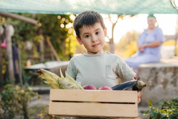 Fiú Cipeli Fadobozt Tele Frissen Szedett Zöldségekkel Hogy Egészséges Reggelit — Stock Fotó