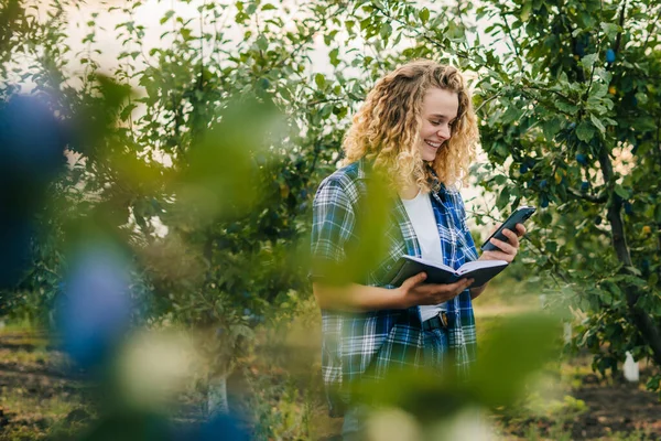 Woman agronomist holding a phone and notepad standing in orchard, quality controlling the production of the year. Agricultural worker. Agriculture problems in