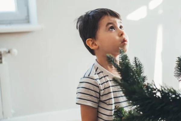 Niño Mirando Con Asombro Altura Del Árbol Navidad Que Reunió — Foto de Stock