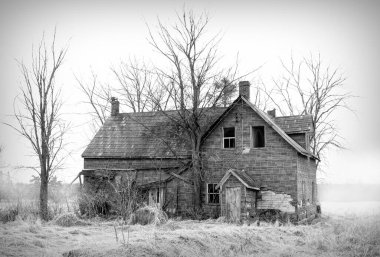 Eski siyah beyaz terk edilmiş ürkütücü bir ev ilkbahar sisinin içinde kırsal Kanada 'da bir çiftlik avlusunda
