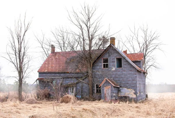 Old Abandoned Spooky Looking House Spring Fog Farm Yard Rural — Zdjęcie stockowe