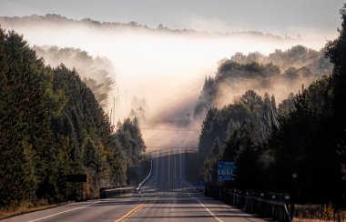 Sonbahar sabahının erken saatlerinde Algonquin Park, Kanada 60 numaralı otoyolda sis vardı.