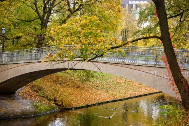 RIGA, LATVIA. 13 Ekim 2021. Parkta sonbahar.