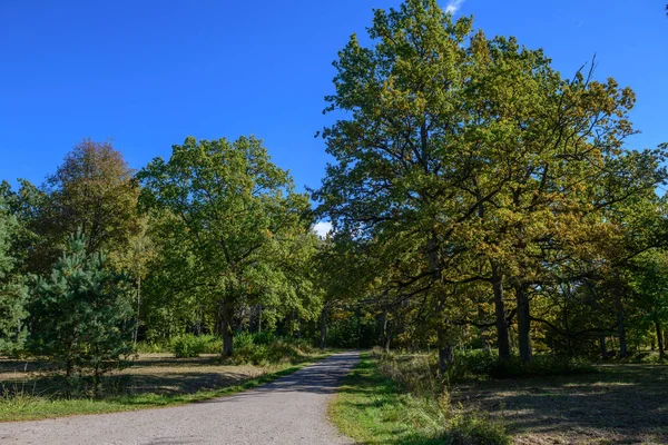 Ungurmuiza Łotwa Września 2021 Park Pobliżu Posiadłości Ungurmuiza Łotwa Jesienny — Zdjęcie stockowe