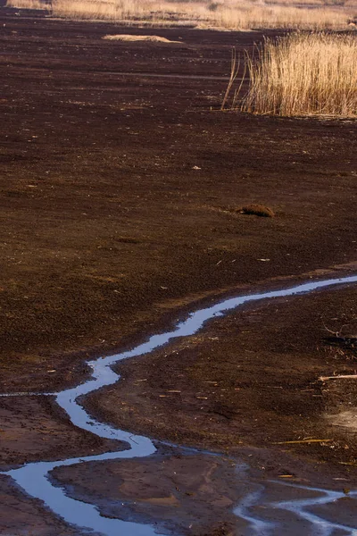 Selective Focus Photo Dry Fish Pond Area Water — Stock Photo, Image