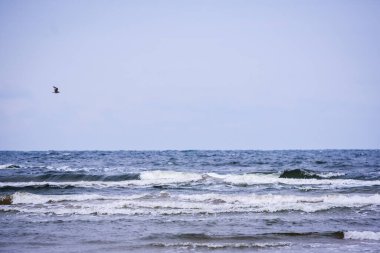 Seçici odak fotoğrafı. Denizde dalgalar.