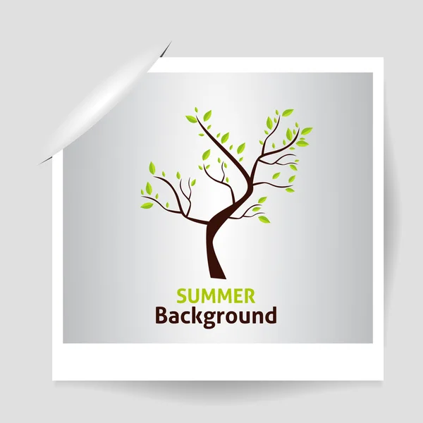 Yaz fotoğraf çerçevesi