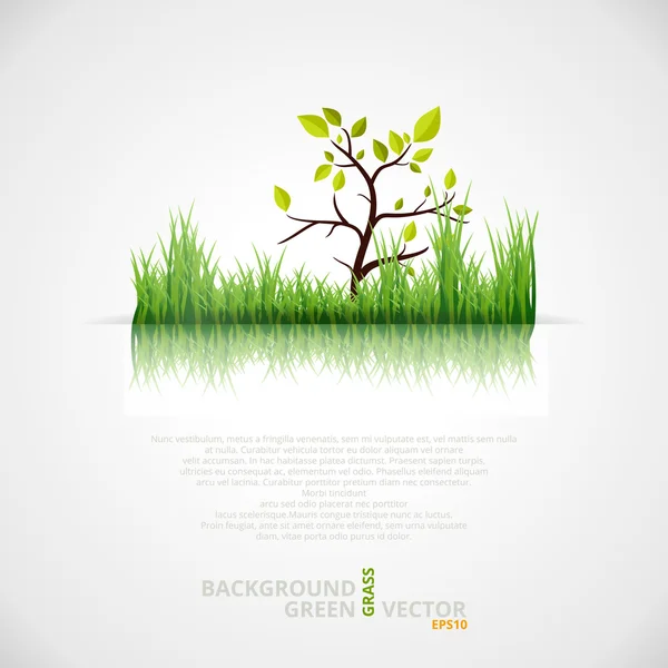 Vector achtergrond met groene gras en boom — Stockvector