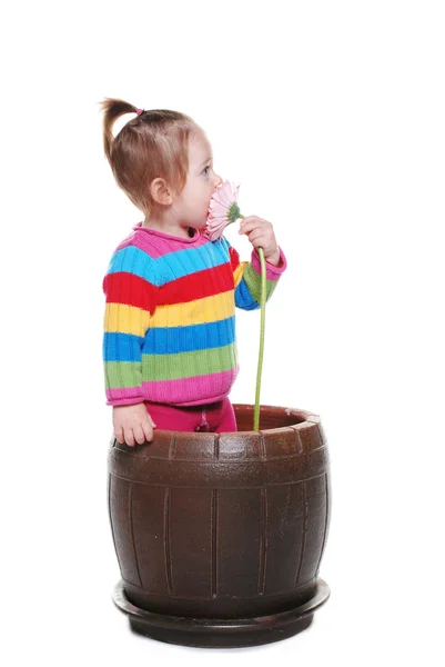 Beautiful little girl in the flower pot — Stock Photo, Image