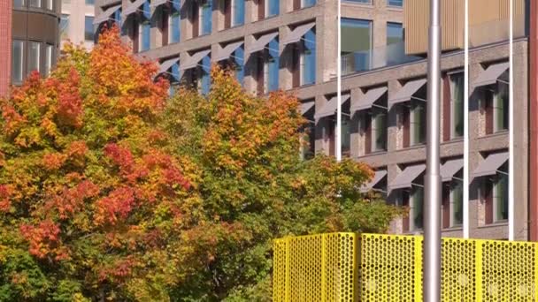 Moderní Architektura Městě Severské Evropy Krásný Podzimní Strom Popředí — Stock video