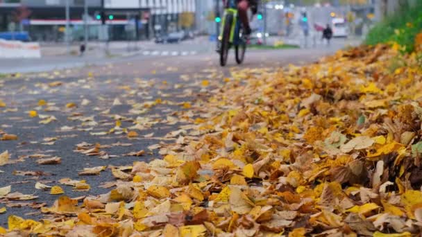 Planda Şehir Caddesinde Düşen Sarı Yapraklar Var Arka Plandaki Bulanık — Stok video