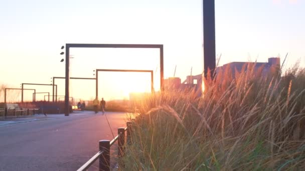 Сучасний Ландшафтний Дизайн Міський Парк Заході Сонця Квіткове Ліжко Традиційною — стокове відео