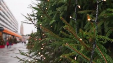 Orta Helsinki, Finlandiya sokaklarındaki Noel ağaçları.