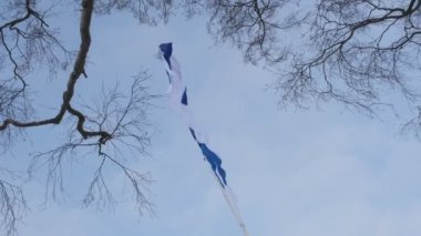 Helsinki 'de Bağımsızlık Günü için Finlandiya bayrağı göndere çekildi.