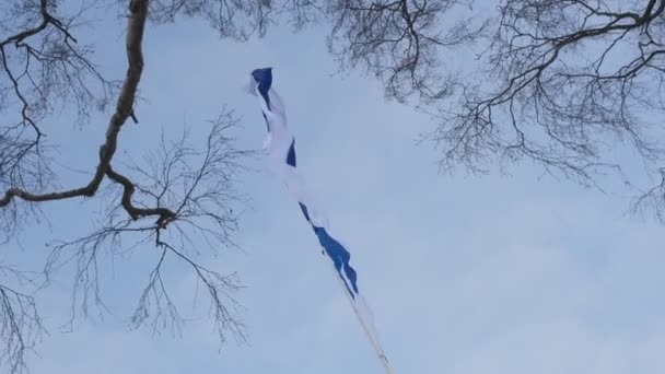 Finnish Flag Raised Independence Day Helsinki — Stockvideo