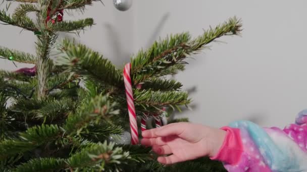 Tomando os ornamentos de uma árvore de Natal. — Vídeo de Stock