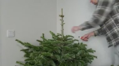 Adam Noel ağacının dallarını kesiyor.