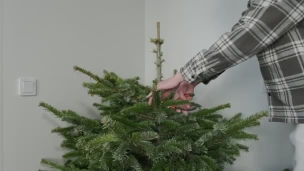 Adam Noel ağacının dallarını kesiyor. — Stok video