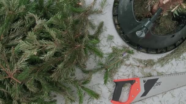 Τα κομμένα κλαδιά του χριστουγεννιάτικου δέντρου είναι στο πάτωμα, ο κορμός του δέντρου είναι σε μια βάση χωρίς κλαδιά. — Αρχείο Βίντεο