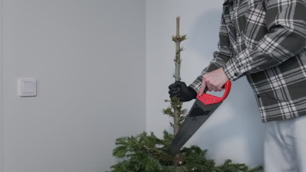 L'homme coupe des branches sur un arbre de Noël — Video