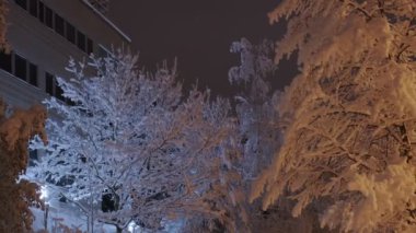 Finlandiya, Espoo 'da gece yoğun kar yağışı.