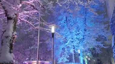 Finlandiya, Helsinki 'de gece yoğun kar yağışı.