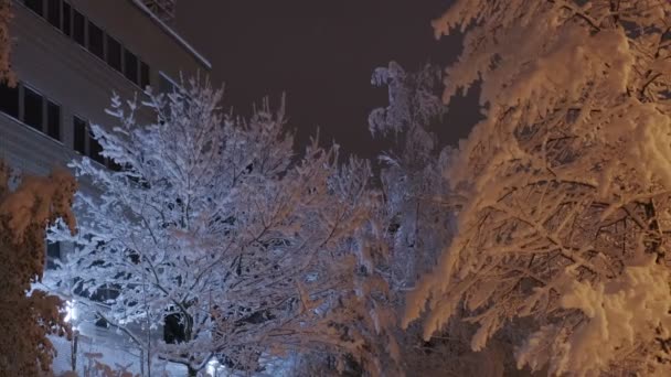 Las fuertes nevadas en la noche en Espoo, Finlandia. — Vídeo de stock