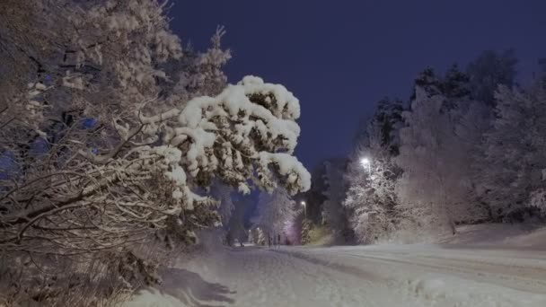 Сильный снегопад ночью в Эспоо, Финляндия. — стоковое видео