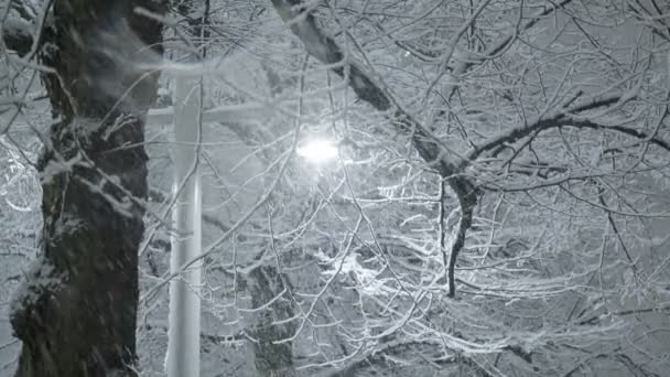 Las fuertes nevadas en la noche en Helsinki, Finlandia. — Vídeo de stock