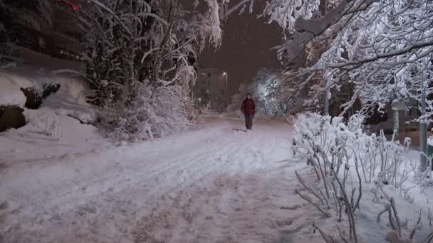 Сильный снегопад ночью в Эспоо, Финляндия. — стоковое видео