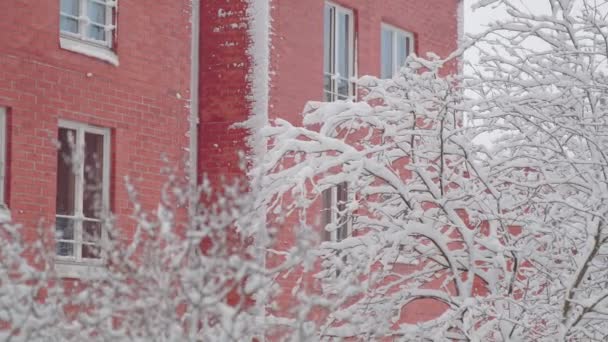 Arbre couvert de neige et mur de briques rouges du bâtiment — Video