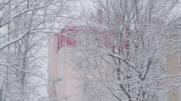 Byggnadens snötäckta träd- och rödtegelvägg — Stockvideo