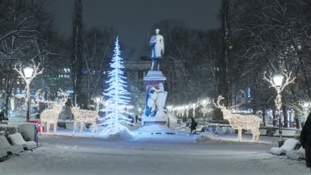 Parque Esplanadi durante la nevada. El parque decorado para la Navidad — Vídeo de stock