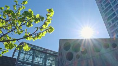 Helsinki, Finlandiya 'da modern İskandinav mimarisi. Önde yeşil ağaç dalı var. Arka planda mavi bir gökyüzü ve güneş var. Modern Şehir 'de Doğa kavramı.