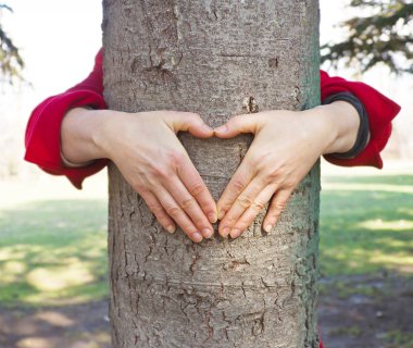 Ellerinde bir tree.St. Sevgililer günü