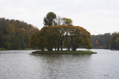 Orman ve göl sonbahar