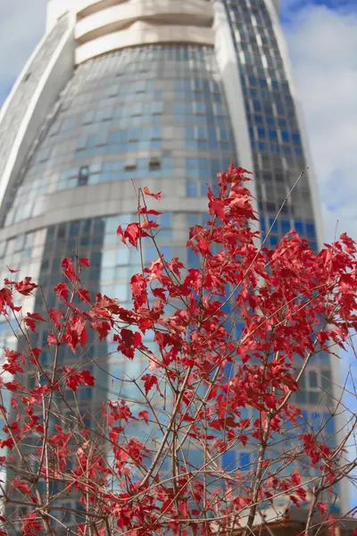 Современное офисное здание в Москве с низкой перспективы — стоковое фото